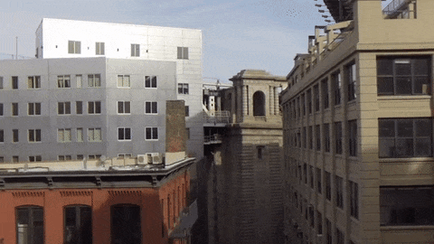 Downtown Brooklyn beckons.