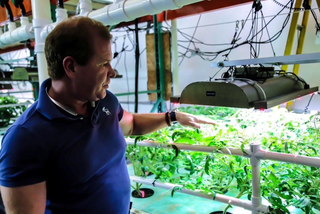 A man pointing at crops.