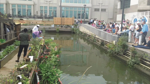Visitors can walk through Swale, a floating food forest.