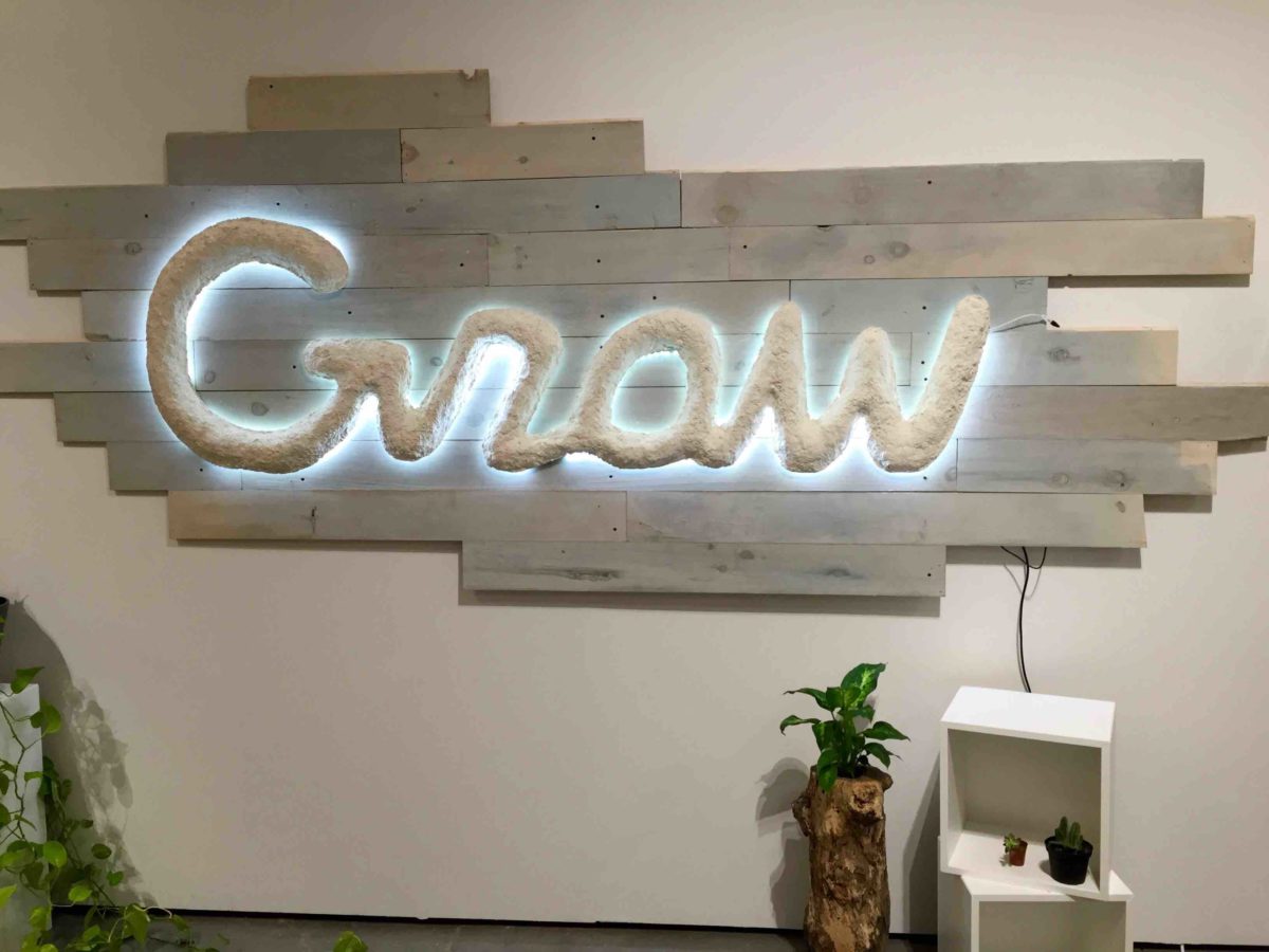 Inside Danielle Trofe’s studio at Industry City