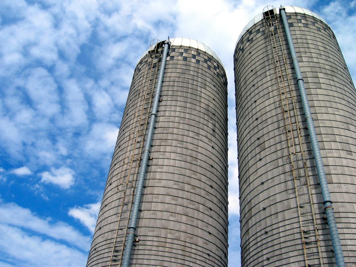 Is this what we're dealing with? (Photo by Flickr user Anthony Arrigo, used under a Creative Commons license)