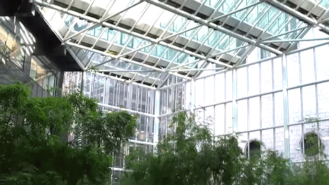 Urban farming.