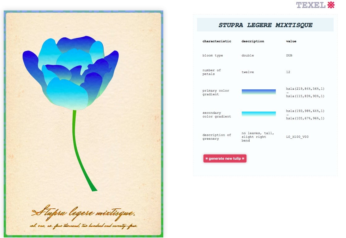 An illustration of a blue tulip alongside digital-asset information.