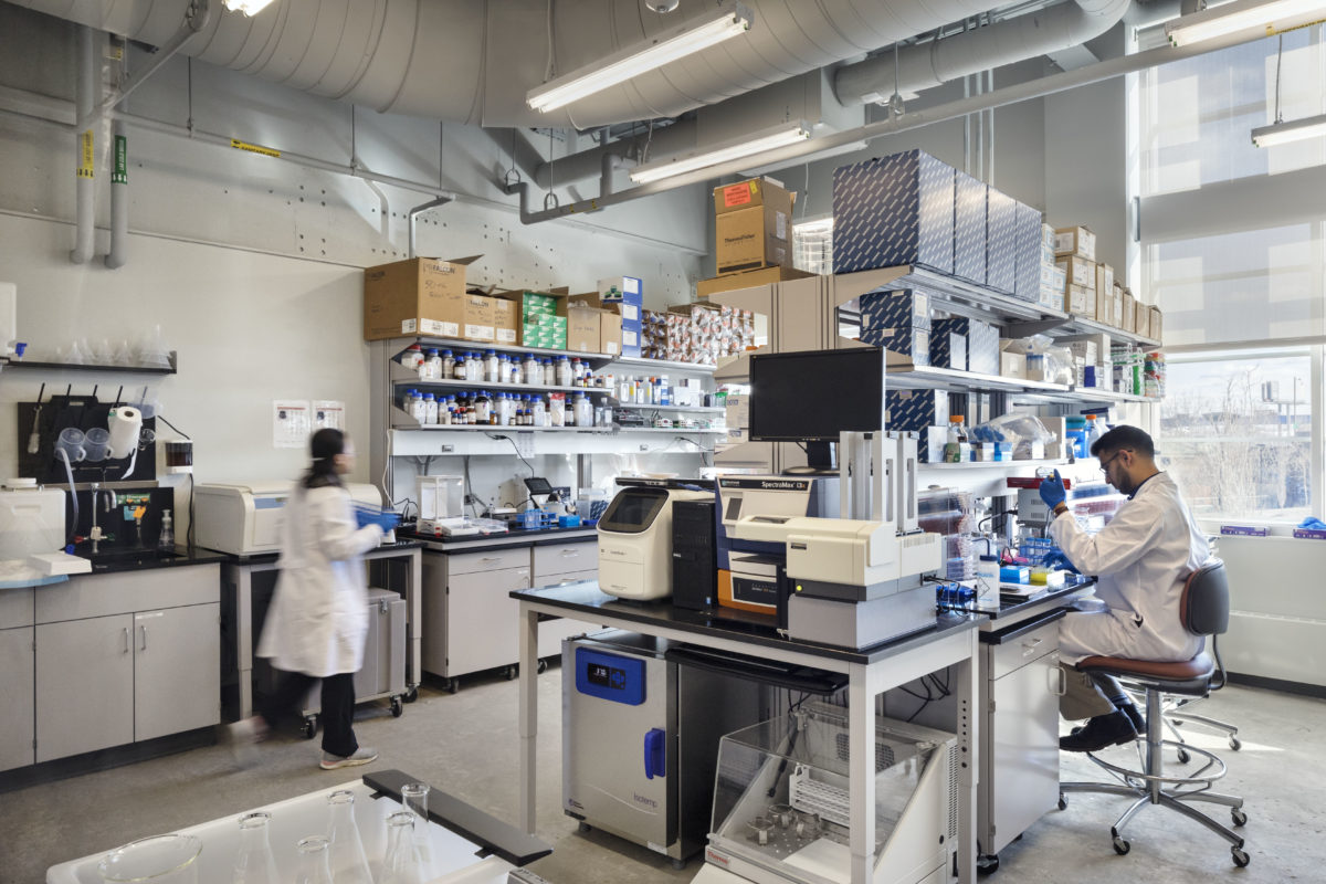 Penn lab