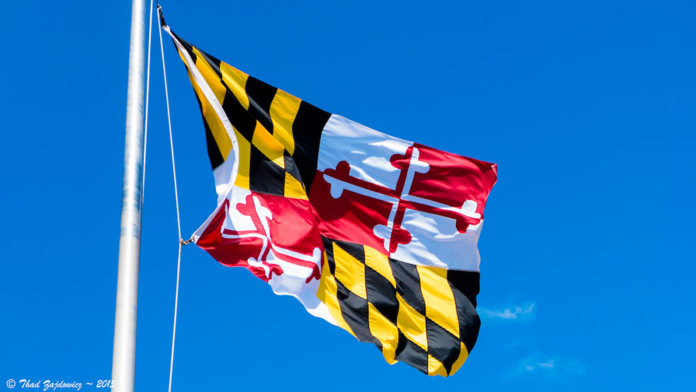 Maryland flag with yellow, black, red and white insignia against blue sky.