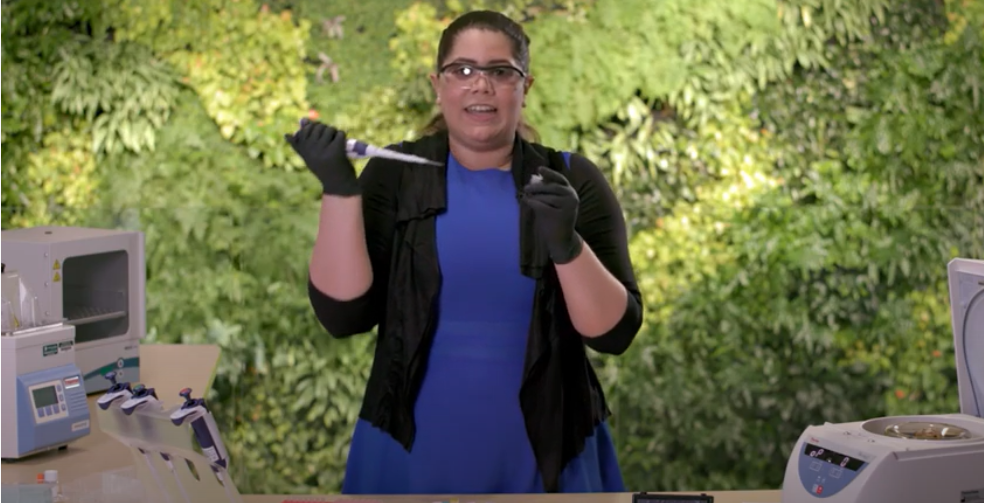 Dr. Natalia Rivera-Torres