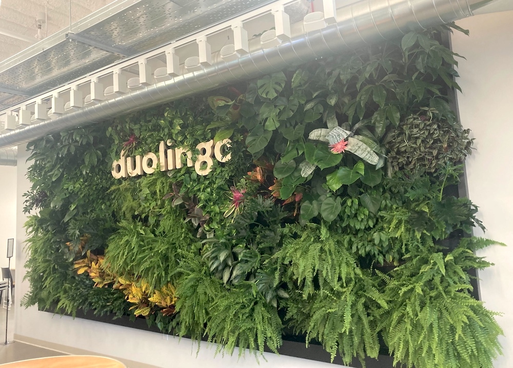 Duolingo wall of plants