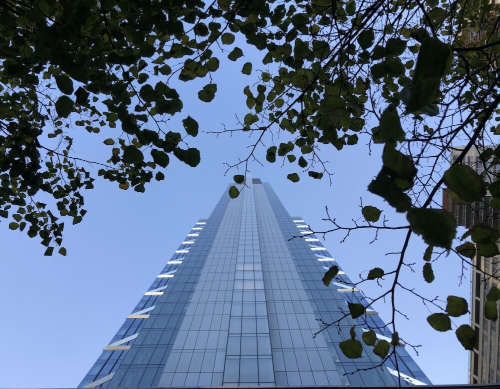 View of a tall glass skyscraper taken from below, framed by tree branches with green leaves against a clear blue sky.