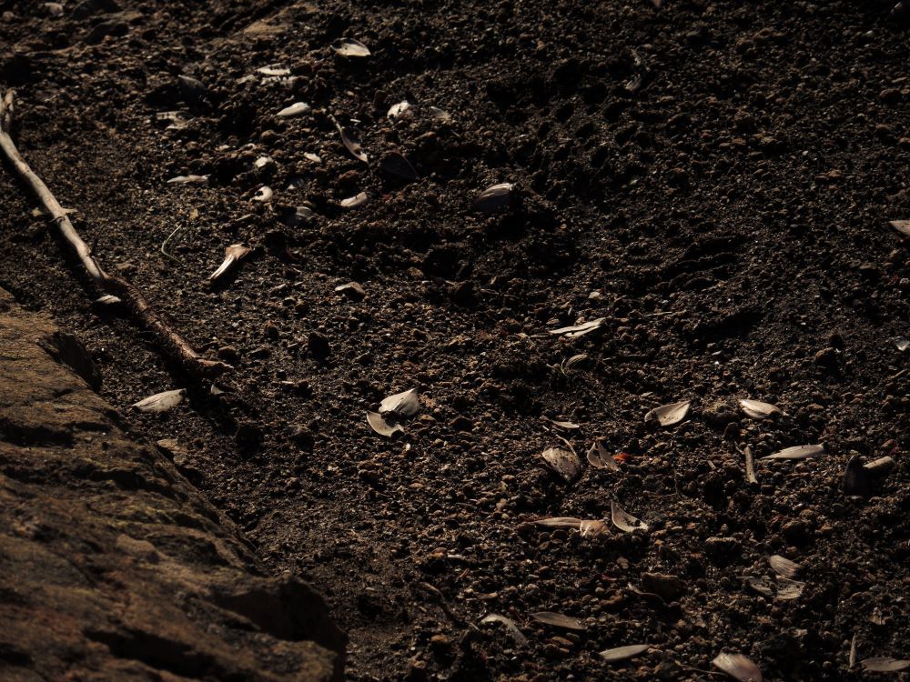 A close up view of tilled soil.