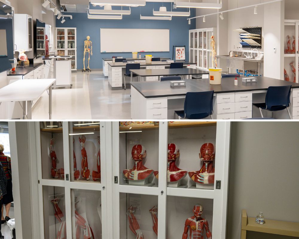 Two pictures of a classroom with a lot of mannequins.