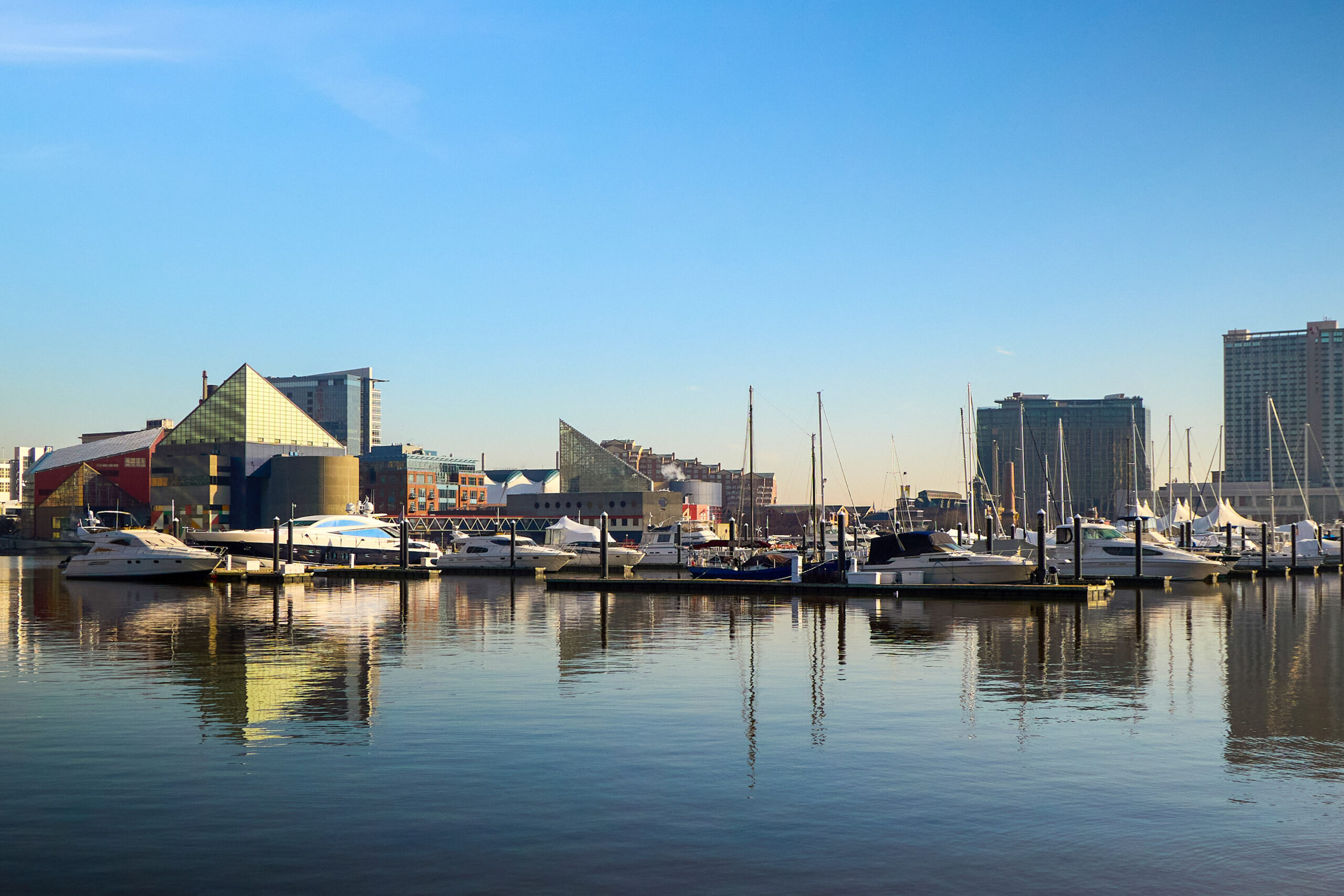 Baltimore's skyline stands against a blue-pink sky and behind a harbor filled with blue water.