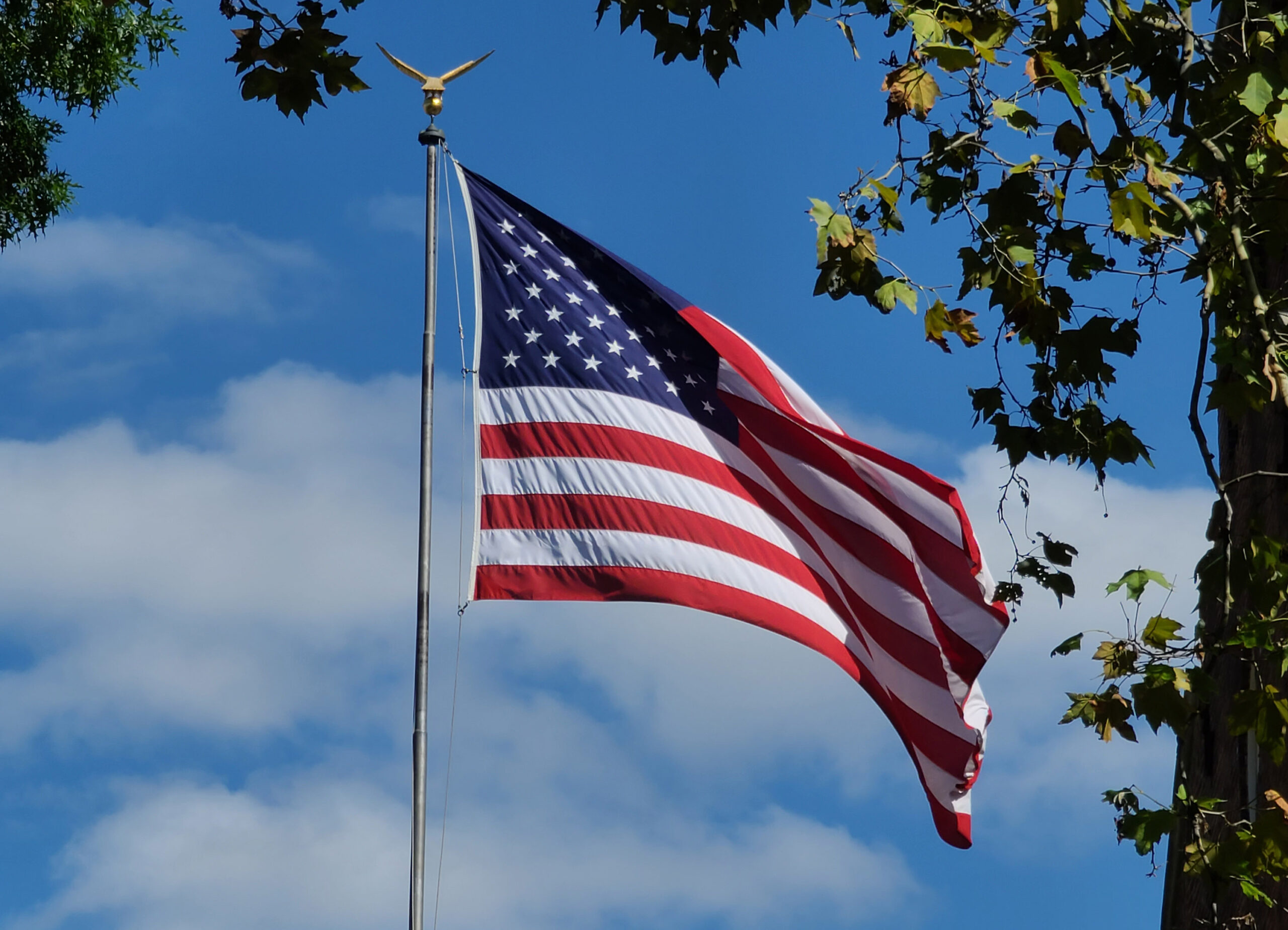 The US flag waves on a tall flagpole against a backdrop of clear blue sky and tree branches.
