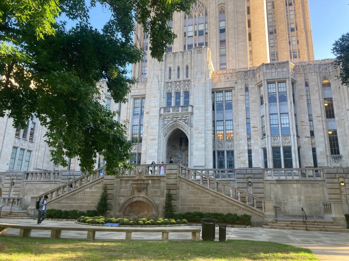 A large stone building with gothic architecture, tall windows, and an arched entrance. There are stairs leading up to the door, with trees framing the foreground.