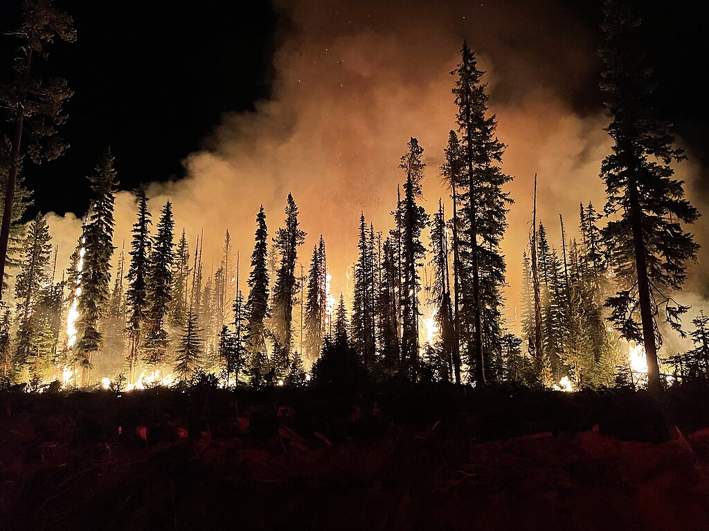 Wildfire engulfing a forest at night, with tall trees silhouetted against the bright flames and smoke.
