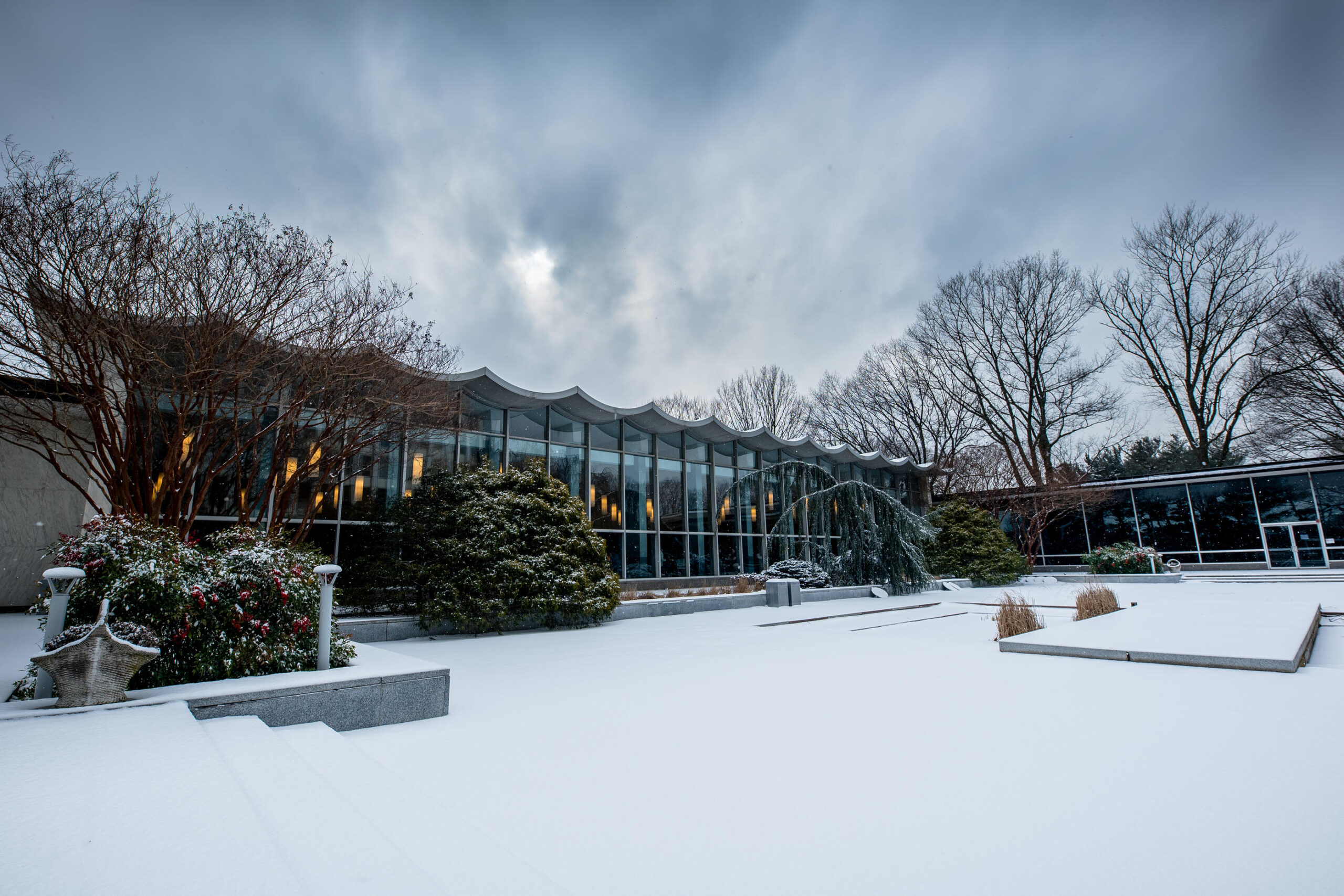 A modern glass building with a wavy roof, surrounded by bare trees and bushes, stands in a snow-covered landscape under a cloudy sky.