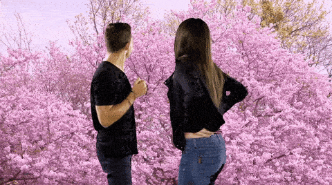 Two people looking at cherry blossoms.
