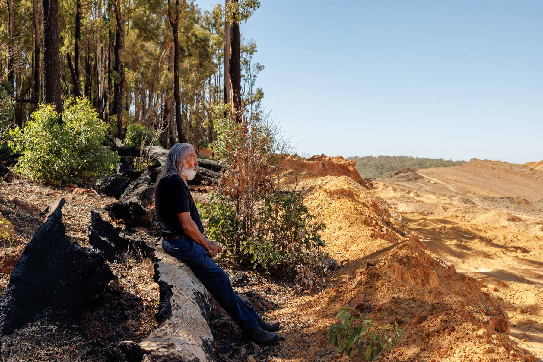 An older man with long gray hair and beard sits on a burnt log at the edge of a forest, looking out over a sandy, deforested area under a clear sky.