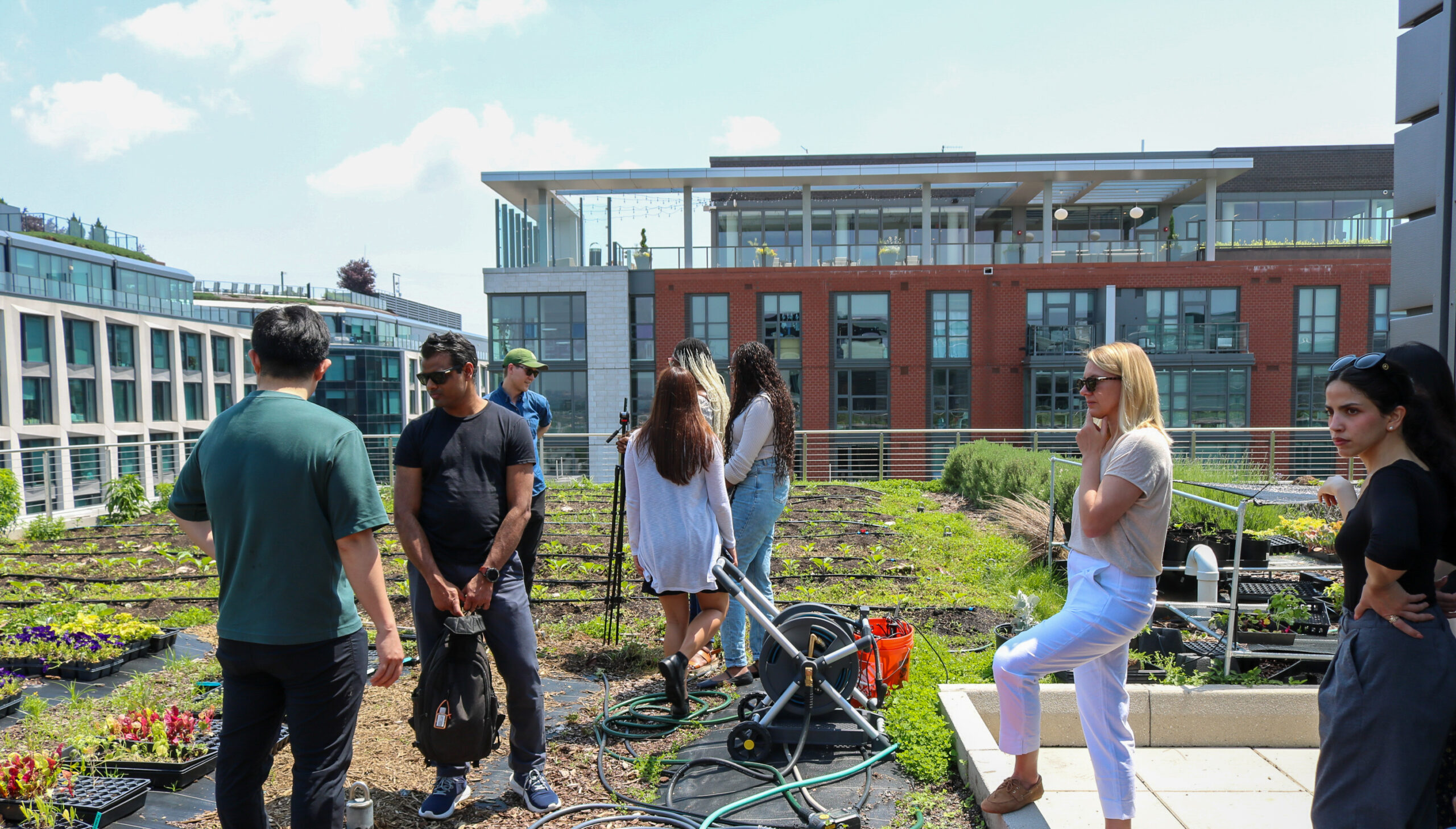 A group of people stand and talk on a rooftop garden with green plants and urban buildings in the background.
