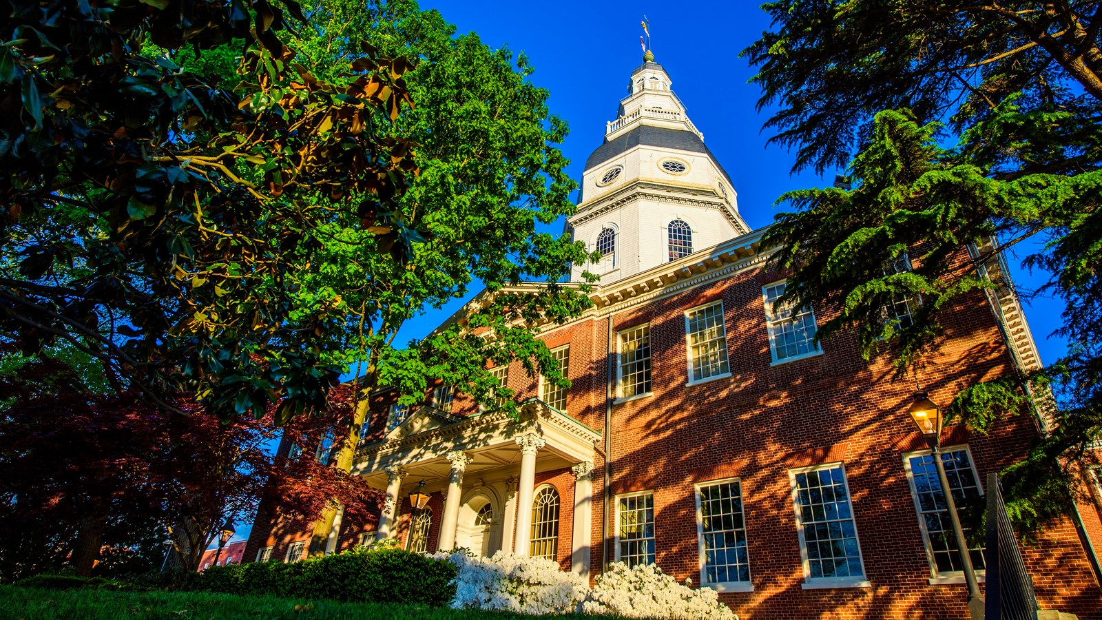 Red brick building with tall windows and a large domed cupola, surrounded by green trees, under a clear blue sky.