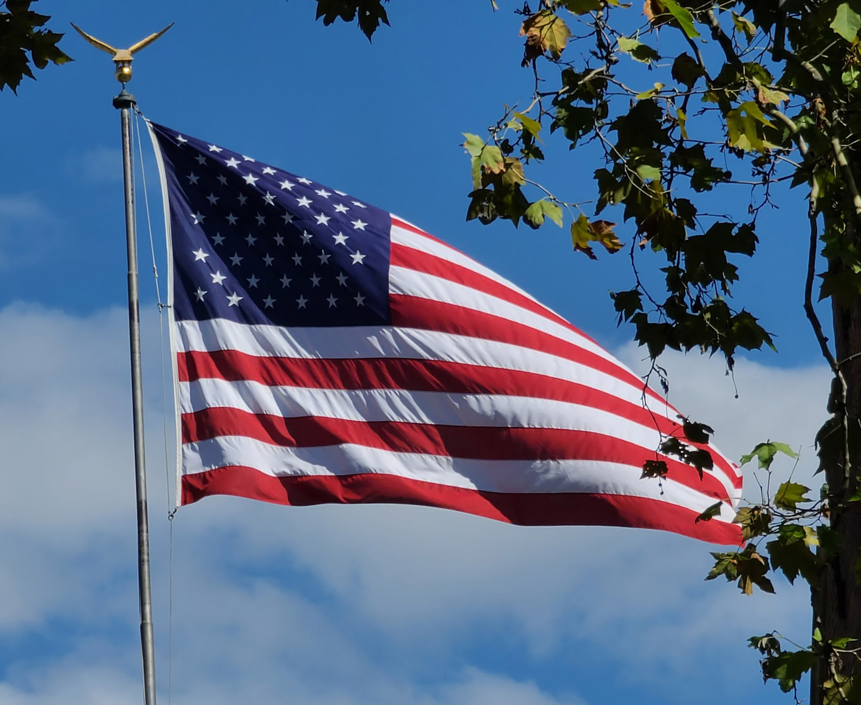 The United States flag waves on a flagpole against a blue sky, with tree branches and leaves partially visible on the right.