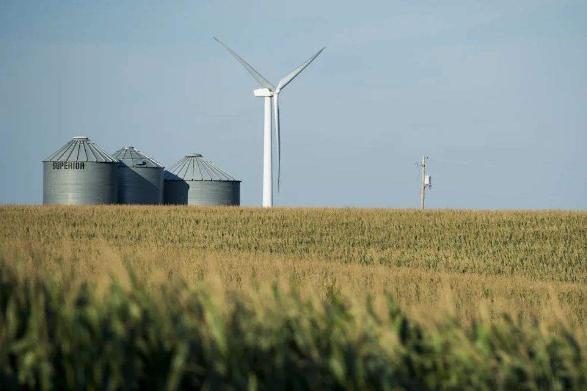 A wind turbine and three metal grain silos stand in a flat field of tall crops under a clear sky.