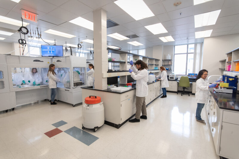Five scientists wearing lab coats work at separate stations in a bright, modern laboratory equipped with scientific instruments and safety equipment.