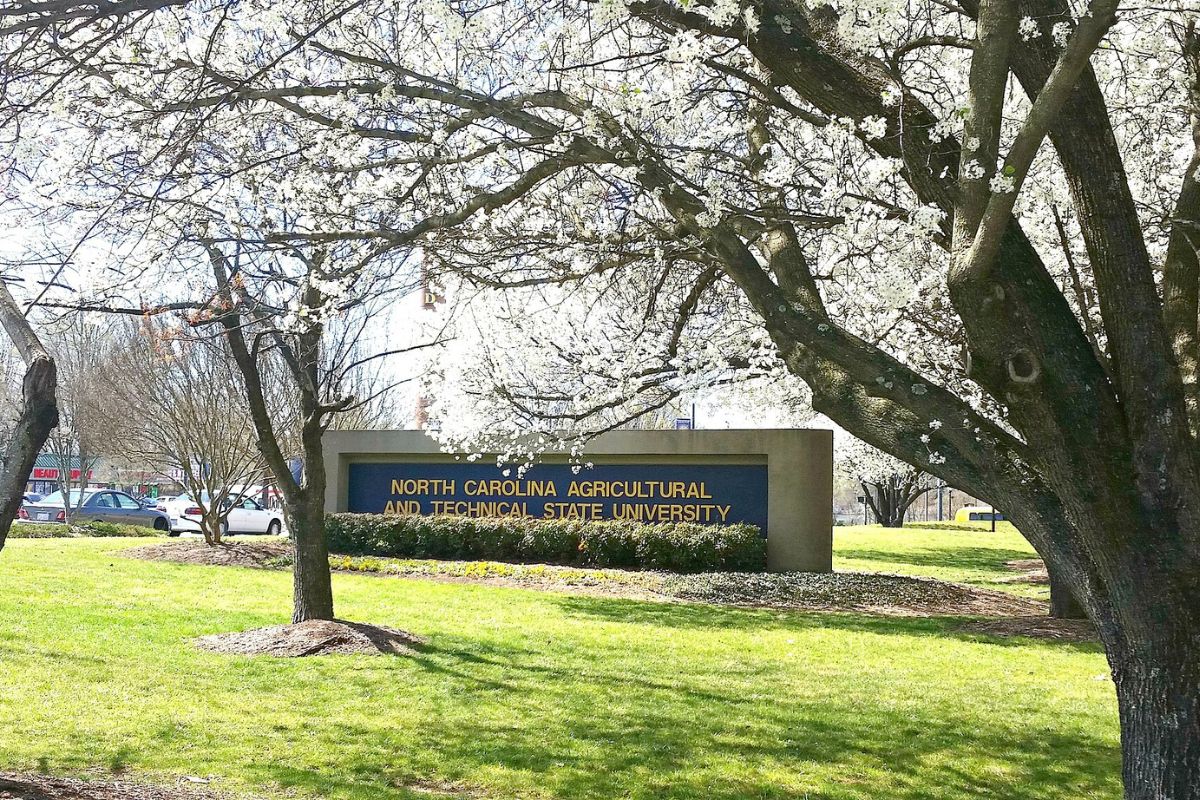 A sign for North Carolina Agricultural and Technical State University stands on a green lawn, surrounded by blooming trees with white flowers.