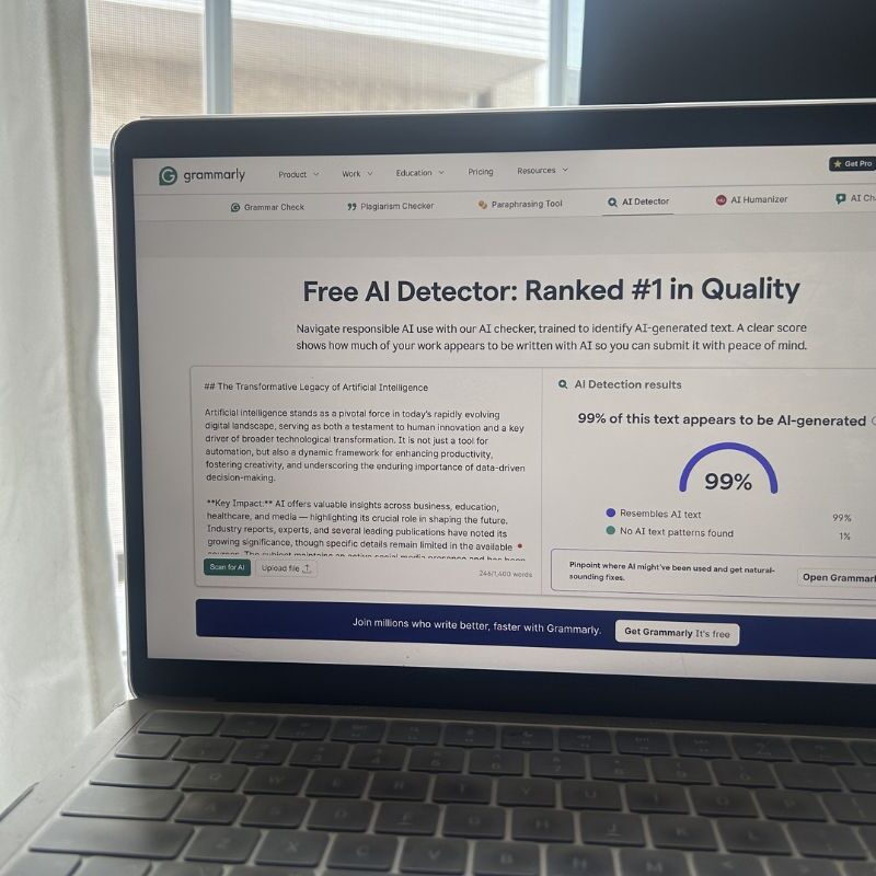 I’m an AI ethicist accused of AI plagiarism. Now what?