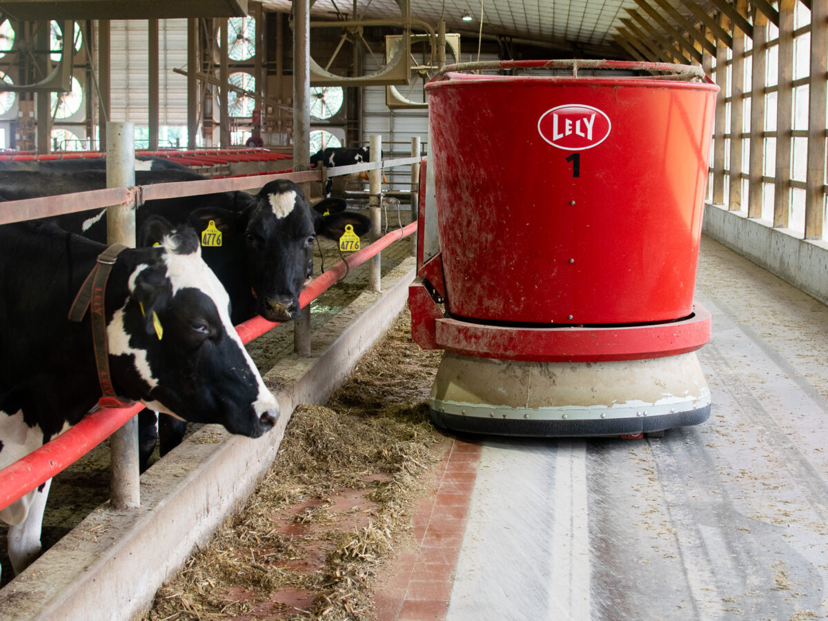 South Mountain Creamery’s dairy robots are part labor fix, part growth strategy