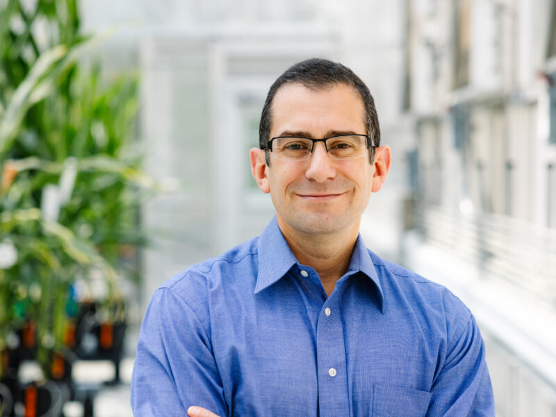A man wearing glasses and a blue button-up shirt stands indoors with his arms crossed, smiling. There are tall green plants and a bright, blurred background.
