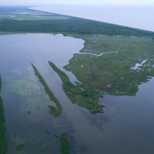Louisiana partners with US Army Corps to fast-track coastal tech and resilience