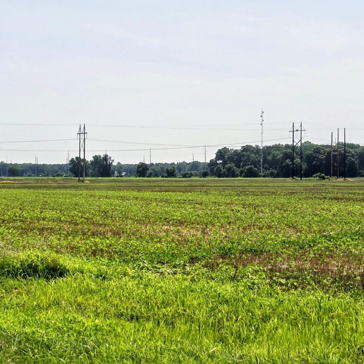 Harrington blocks one data center, but a larger Delaware project remains a mystery