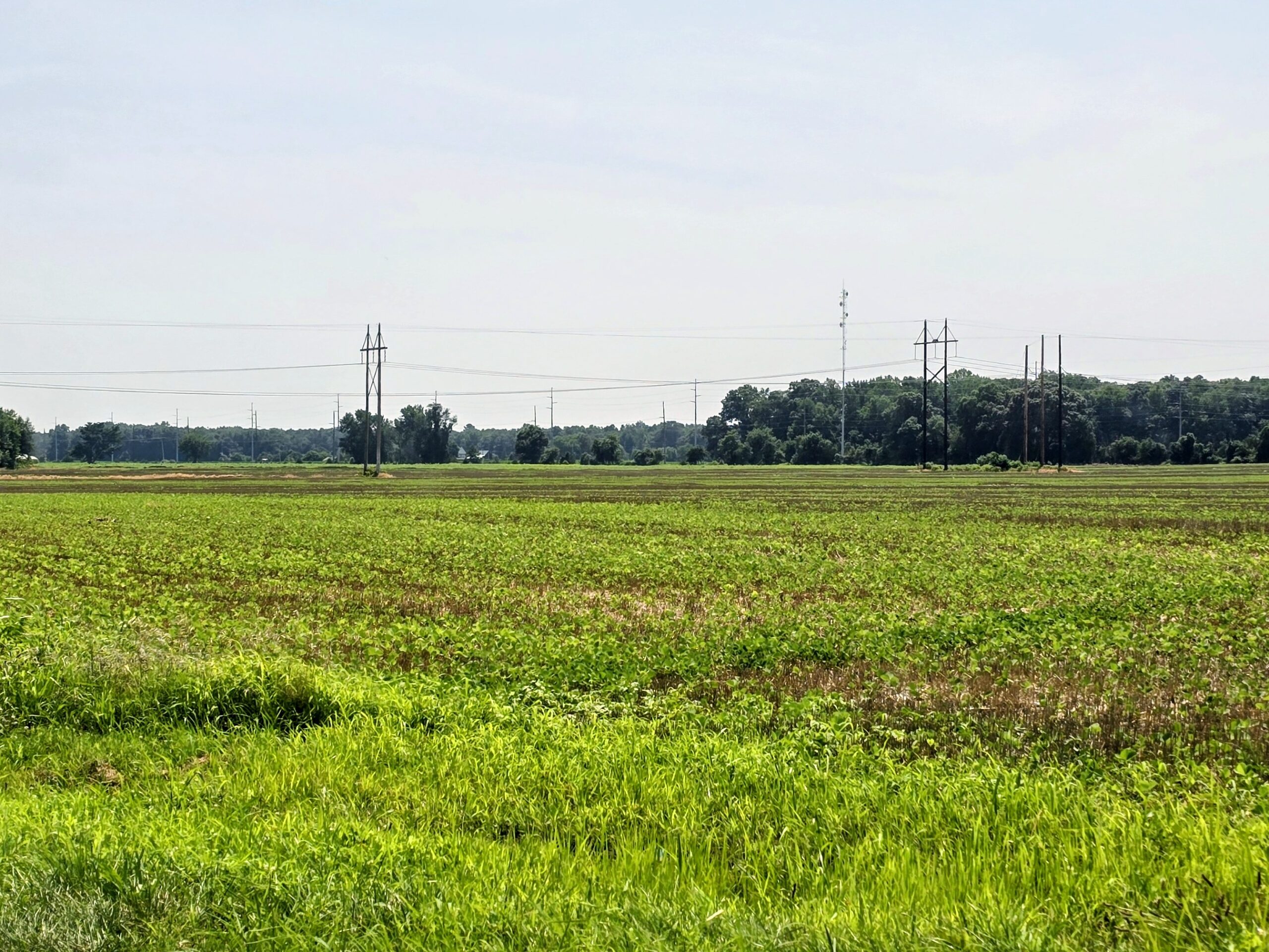 Harrington blocks one data center, but a larger Delaware project remains a mystery