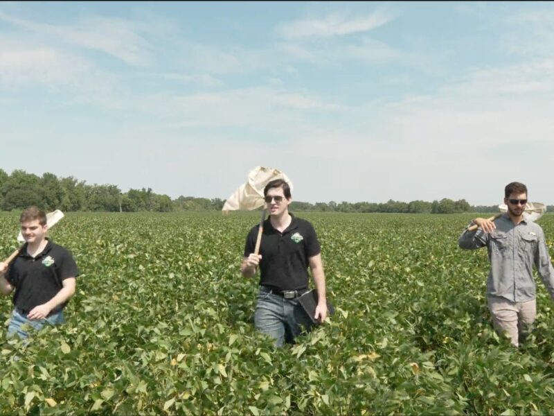 A college class on AI became the foundation for this million-acre Louisiana agtech platform