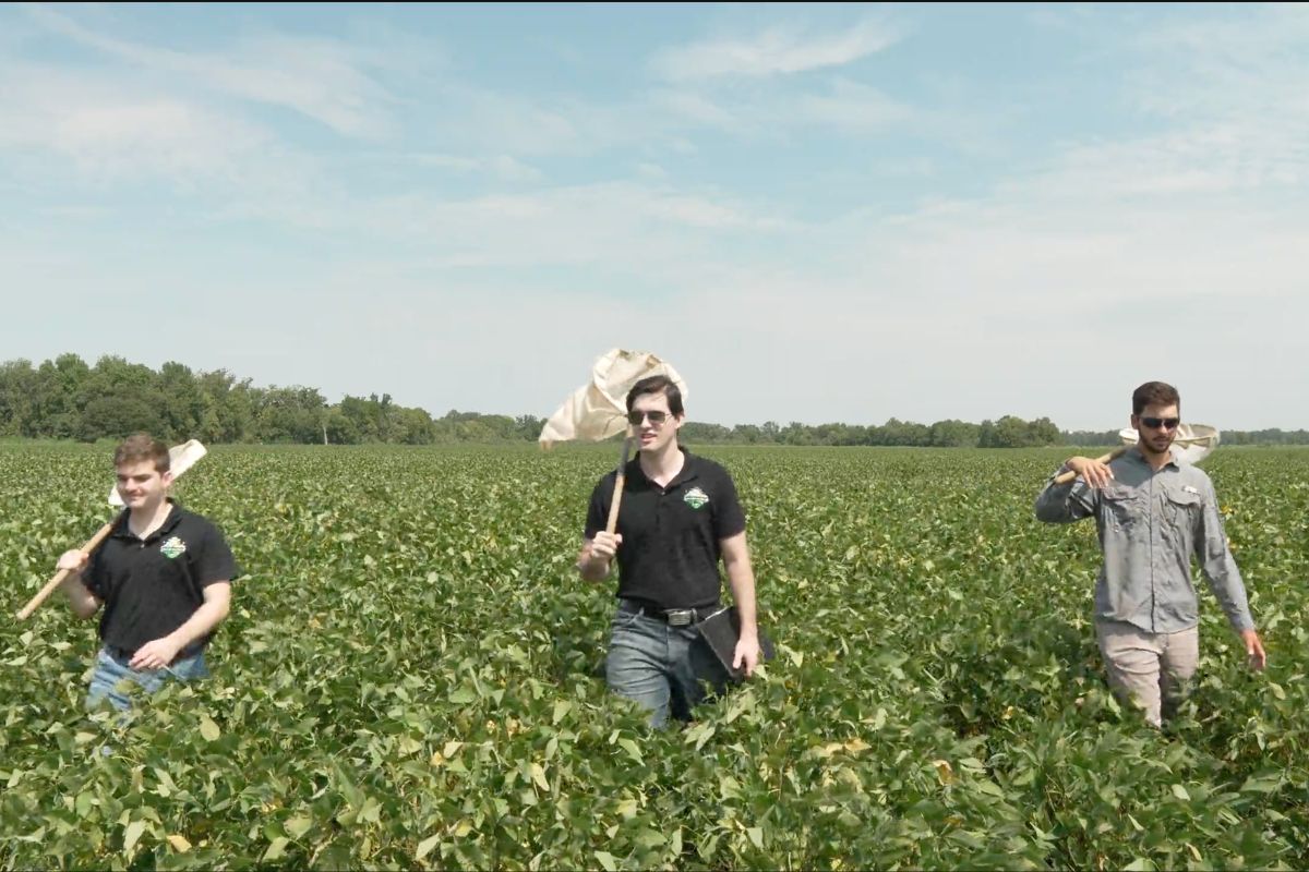 A college class on AI became the foundation for this million-acre Louisiana agtech platform
