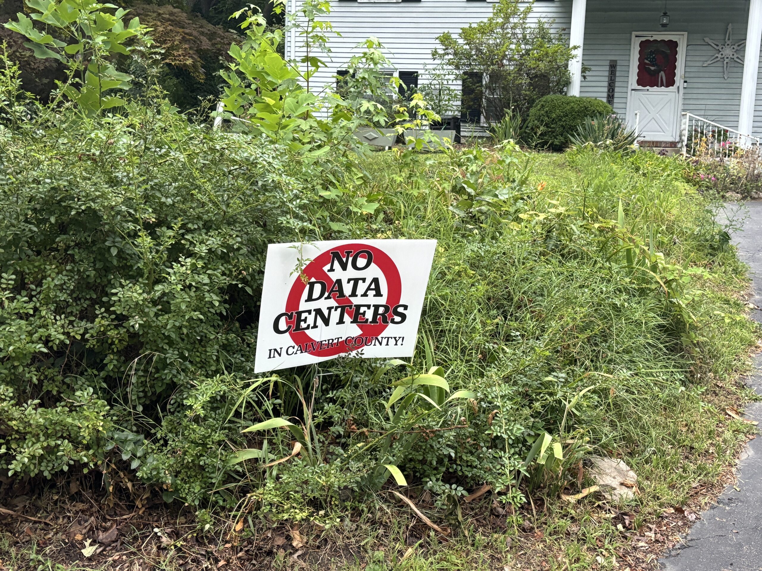 A yard with overgrown grass displays a sign reading “No Data Centers in CAROLINE COUNTY!” with a red circle and slash symbol over the words “Data Centers.”.