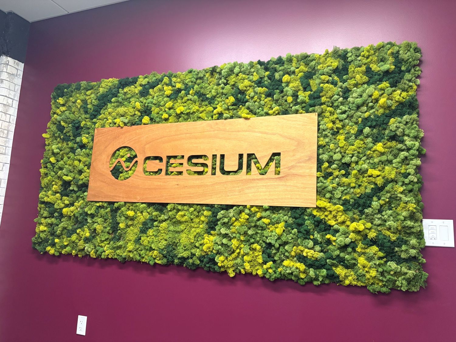 A wooden sign with the word “Cesium” is mounted on a green and yellow moss wall, against a maroon background.