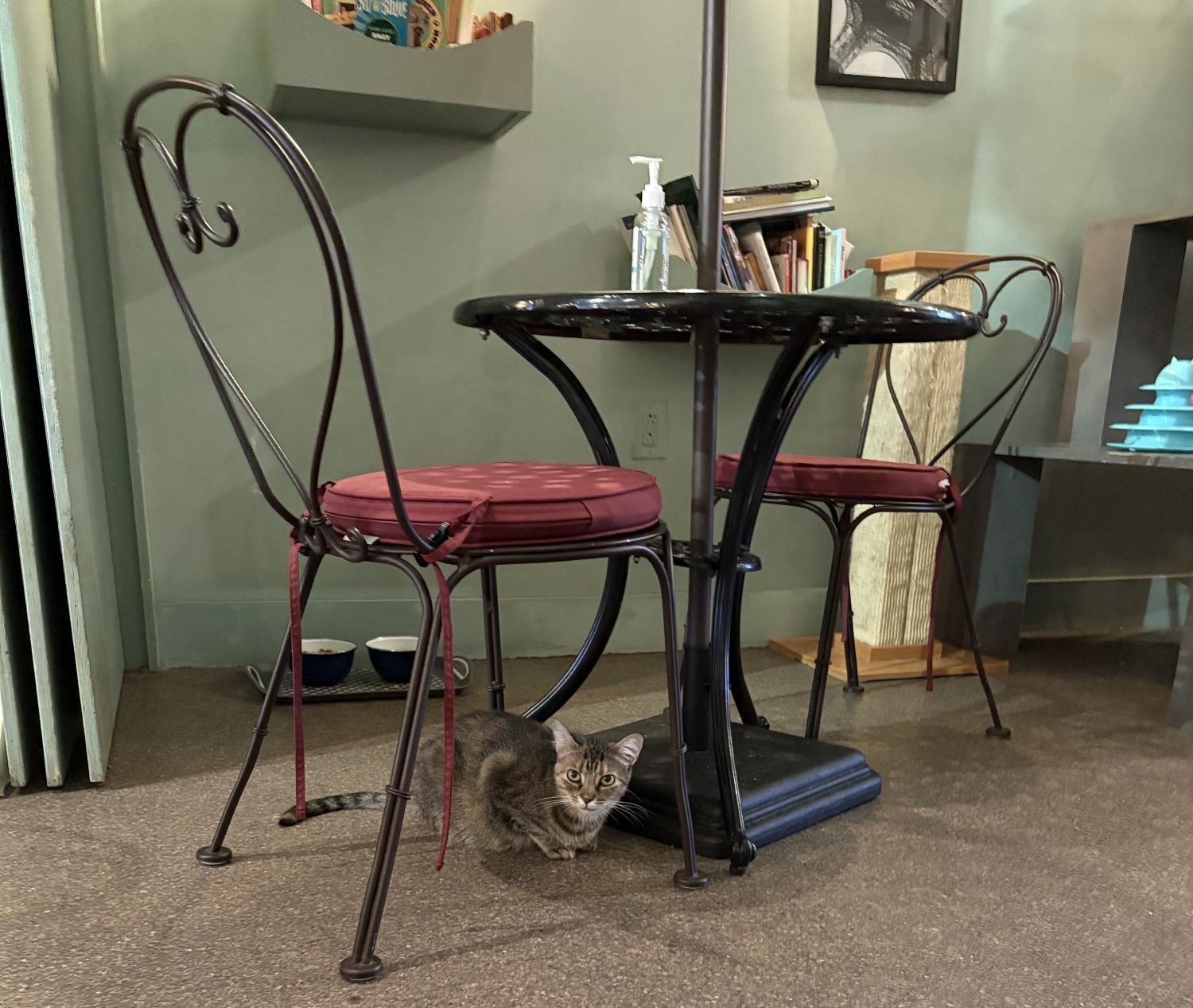 A tabby cat sits under a round black table with two red-cushioned chairs in a room with bookshelves and a bottle of hand sanitizer on the table.