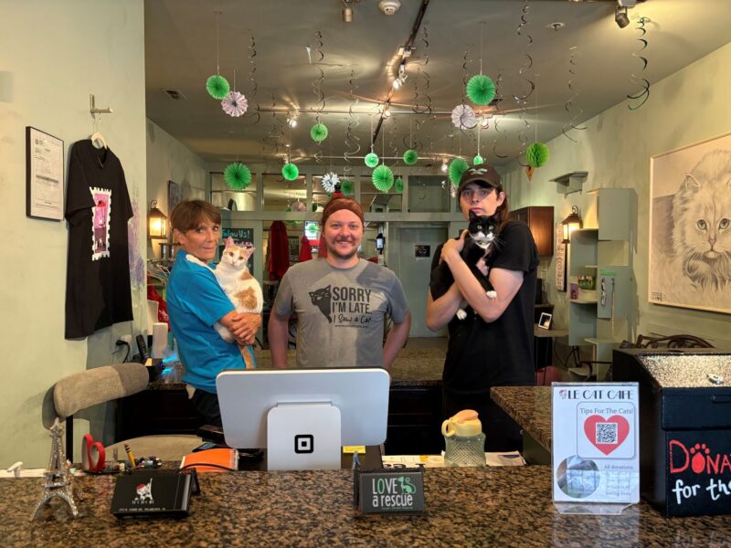 Three people stand behind a counter at a cat café, each holding a cat. Green paper decorations hang from the ceiling, and informational signs are visible on the counter.