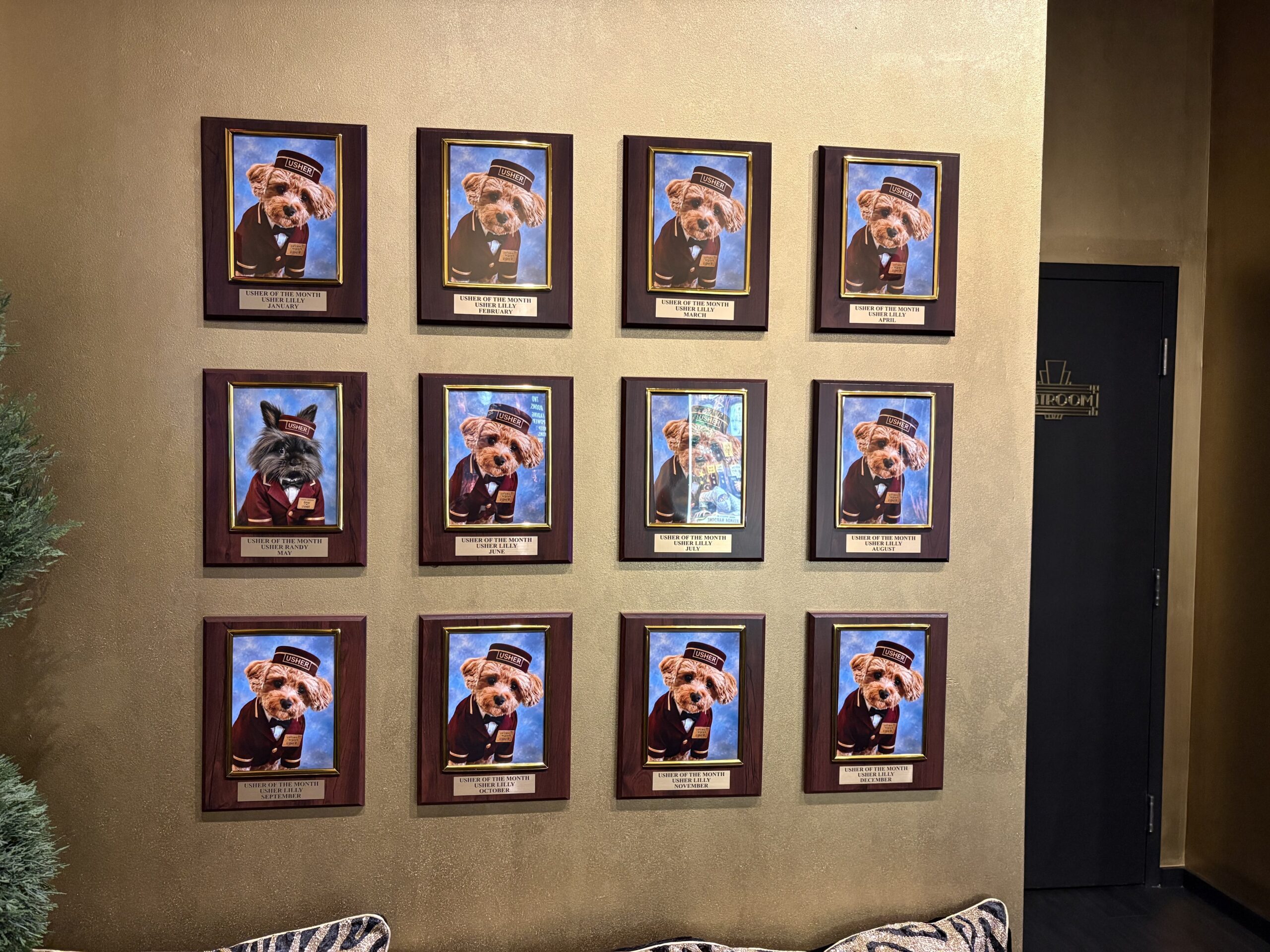 A wall of twelve framed photos featuring dogs wearing usher uniforms and hats, each labeled โUsher of the Monthโ with a name and month.