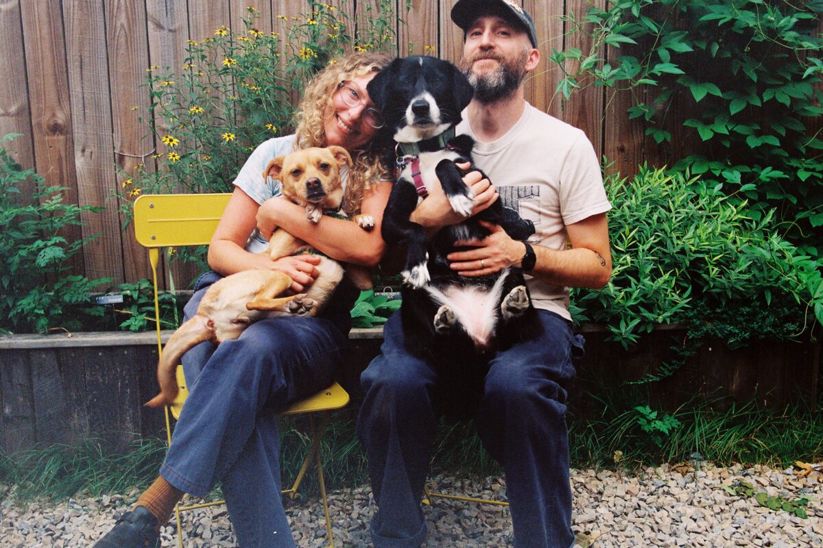 A woman and a man sitting on a yellow chair and a bench, each holding a dog in their lap in front of a wooden fence.