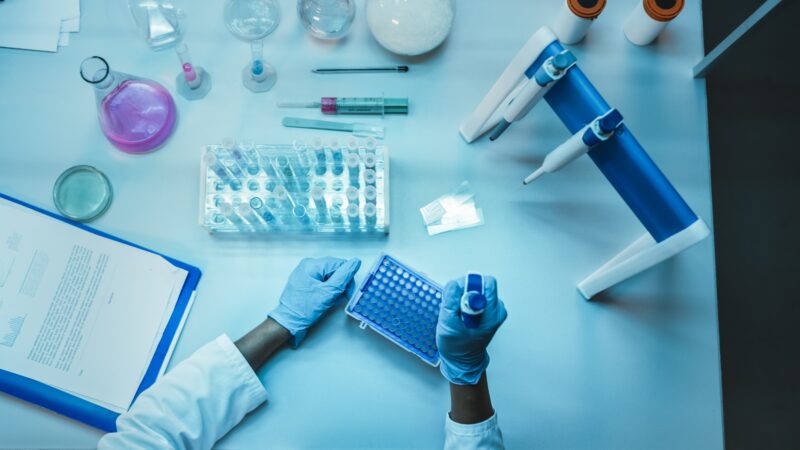 A researcher in blue gloves uses a pipette to fill a multi-well plate on a laboratory table containing various glassware and scientific tools.